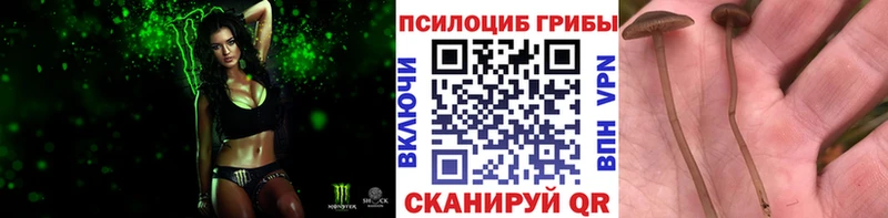 Псилоцибиновые грибы Magic Shrooms  Бугуруслан 
