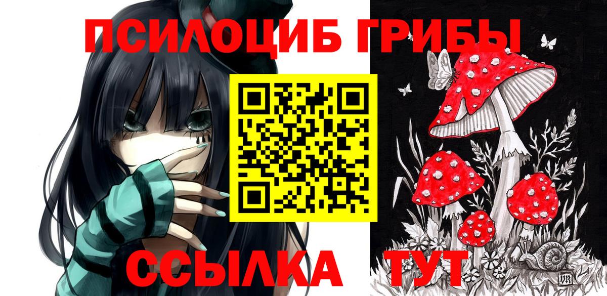 где продают наркотики  Бугуруслан  Псилоцибиновые грибы ЛСД 