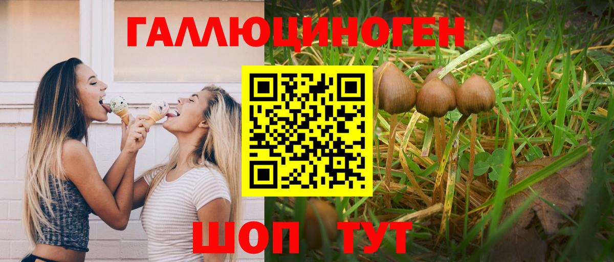 Галлюциногенные грибы прущие грибы  Вход с VPN  Бугуруслан  Псилоцибиновые грибы Cubensis 